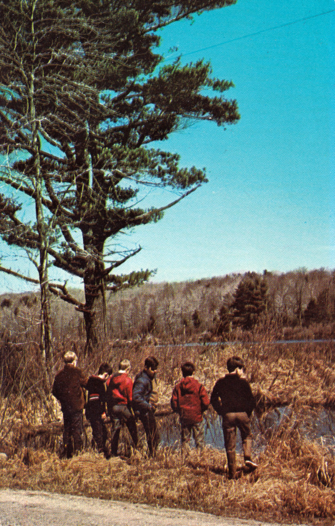 YMCA Educational Center, North Colebrook