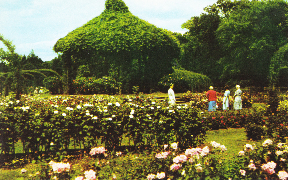 Elizabeth Park, Hartford