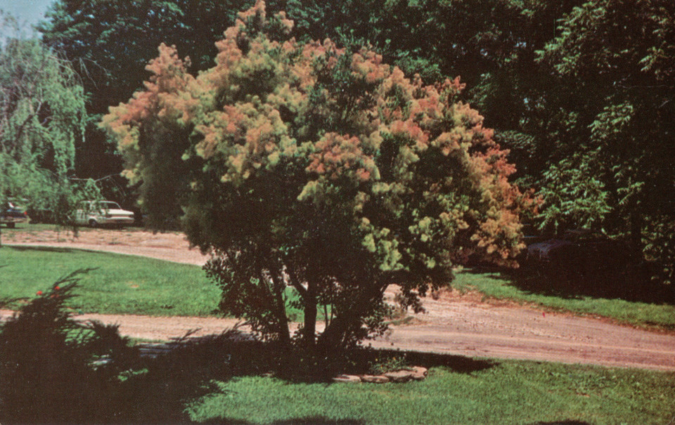 Inn on Lake Waramaug, New Preston